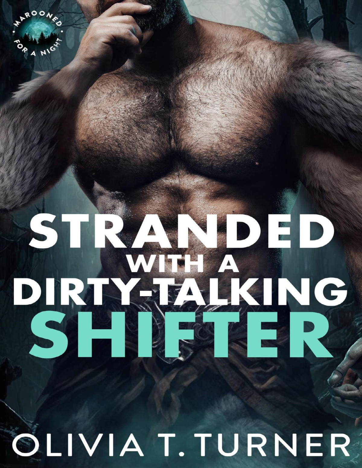 Stranded With A Dirtytalking Shifter 1st Edition Olivia T Turner
