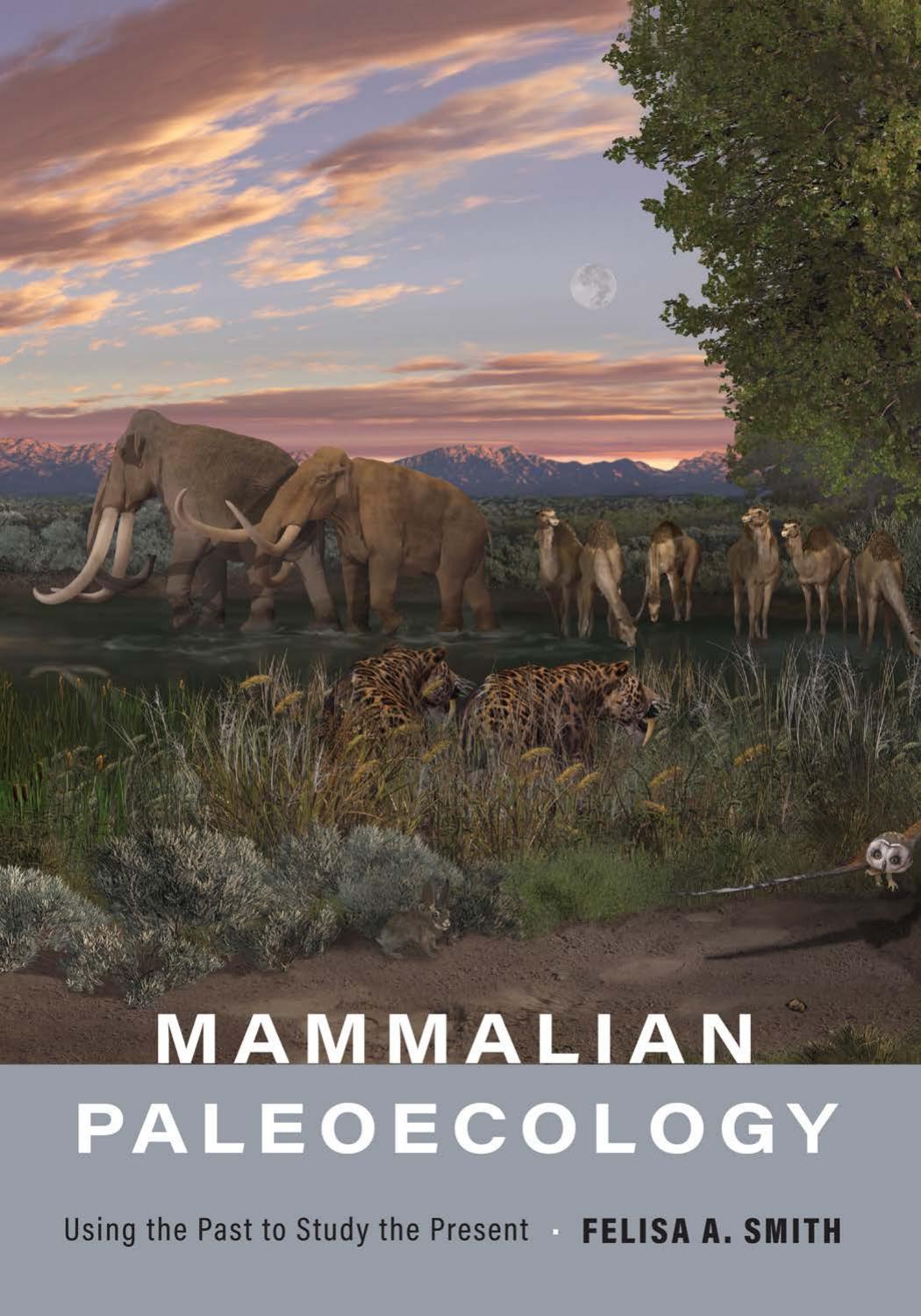 Mammalian Paleoecology Using The Past To Study The Present Felisa A Smith