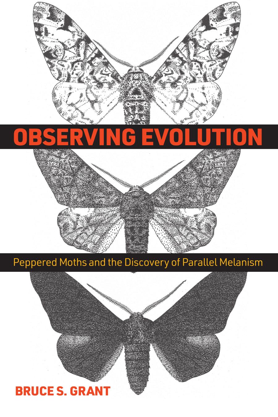 Observing Evolution Peppered Moths And The Discovery Of Parallel Melanism Bruce S Grant
