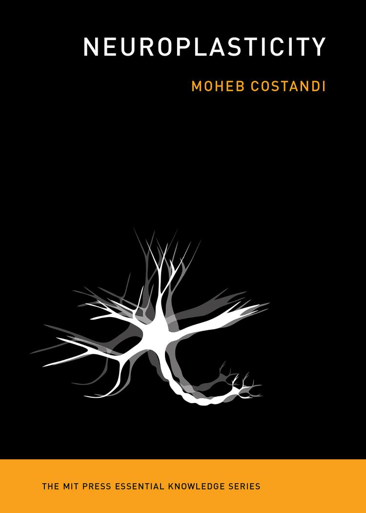 Neuroplasticity Costandi Moheb