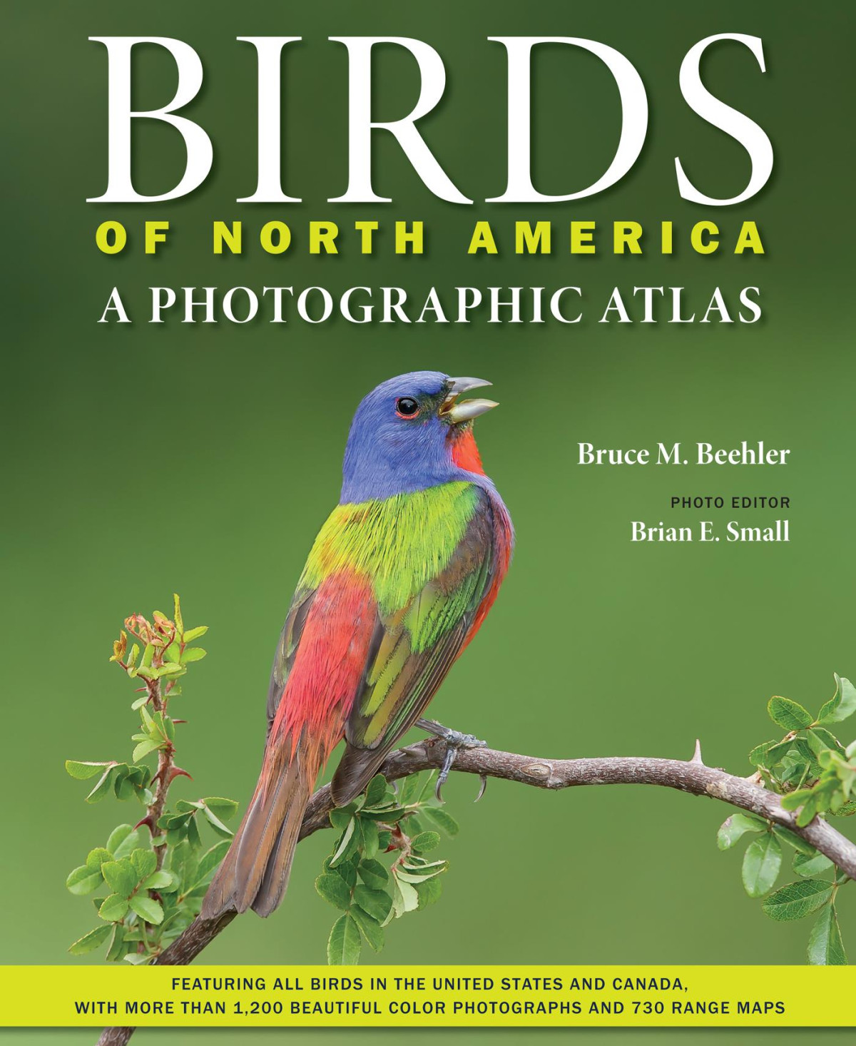 Birds Of North America Bruce M Beehler
