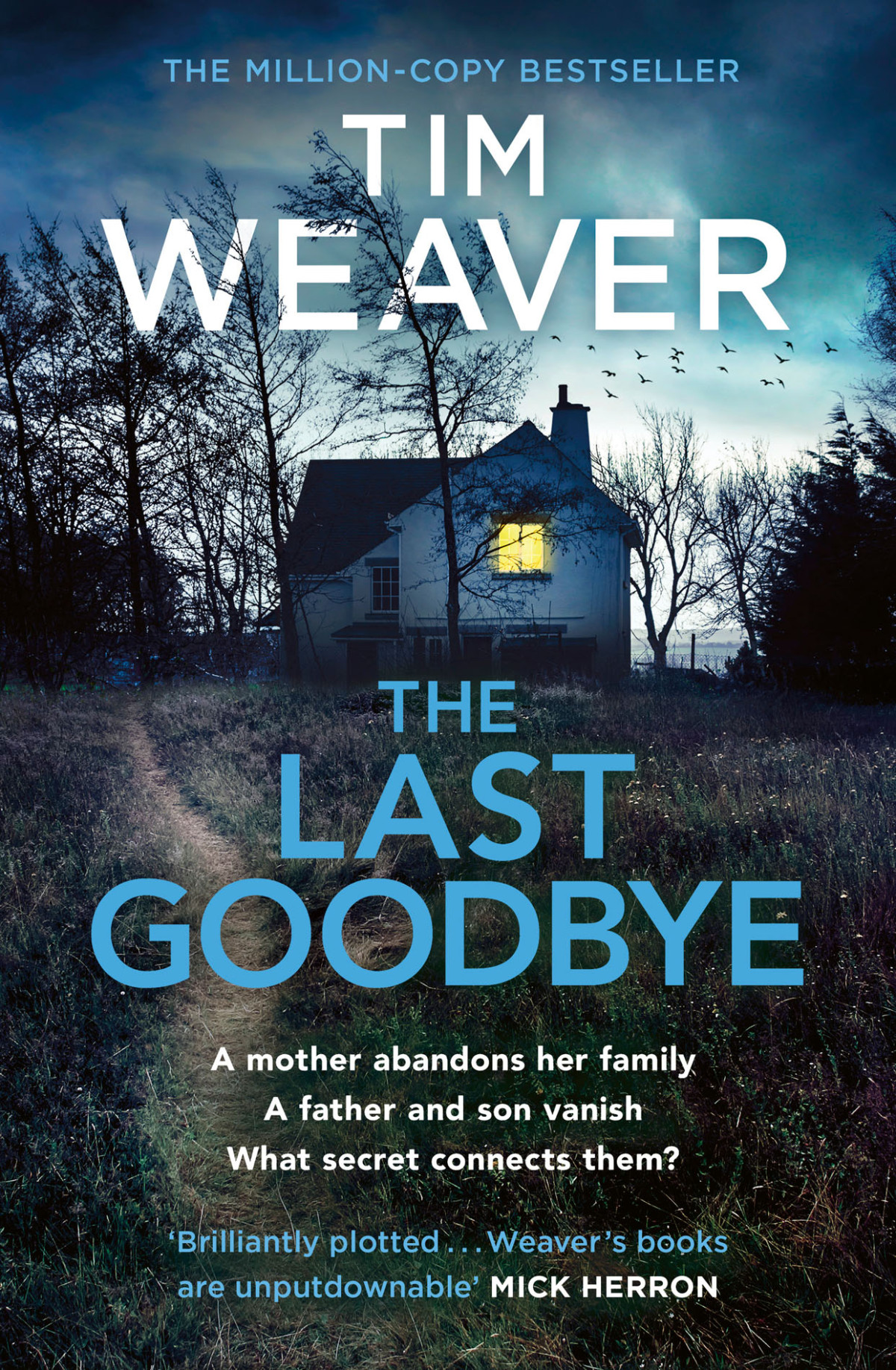 The Last Goodbye Tim Weaver