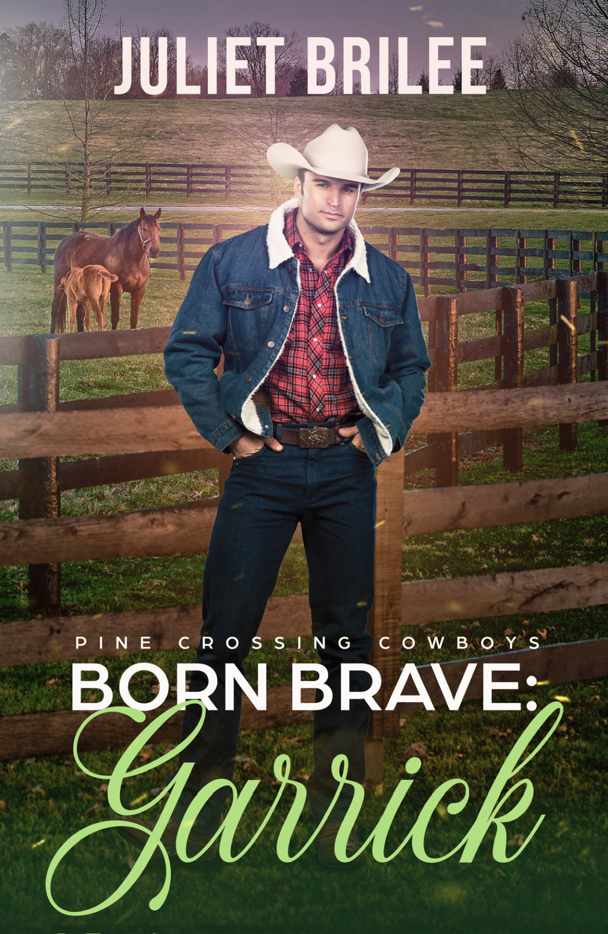 Juliet Brilee Pine Crossing Cowboys 03 Born Brave Garrick Juliet Brilee