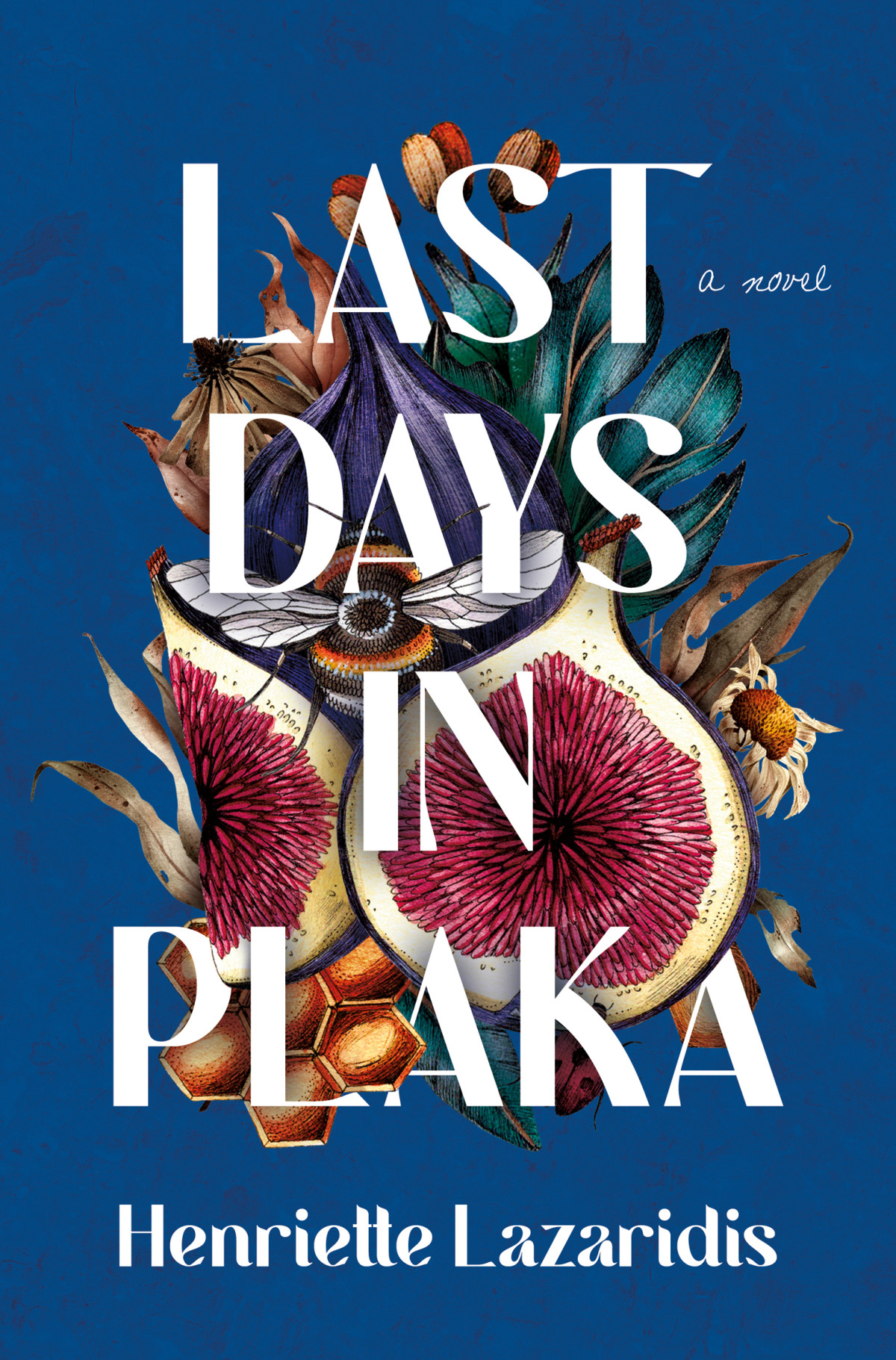 Last Days In Plaka A Novel Henriette Lazaridis