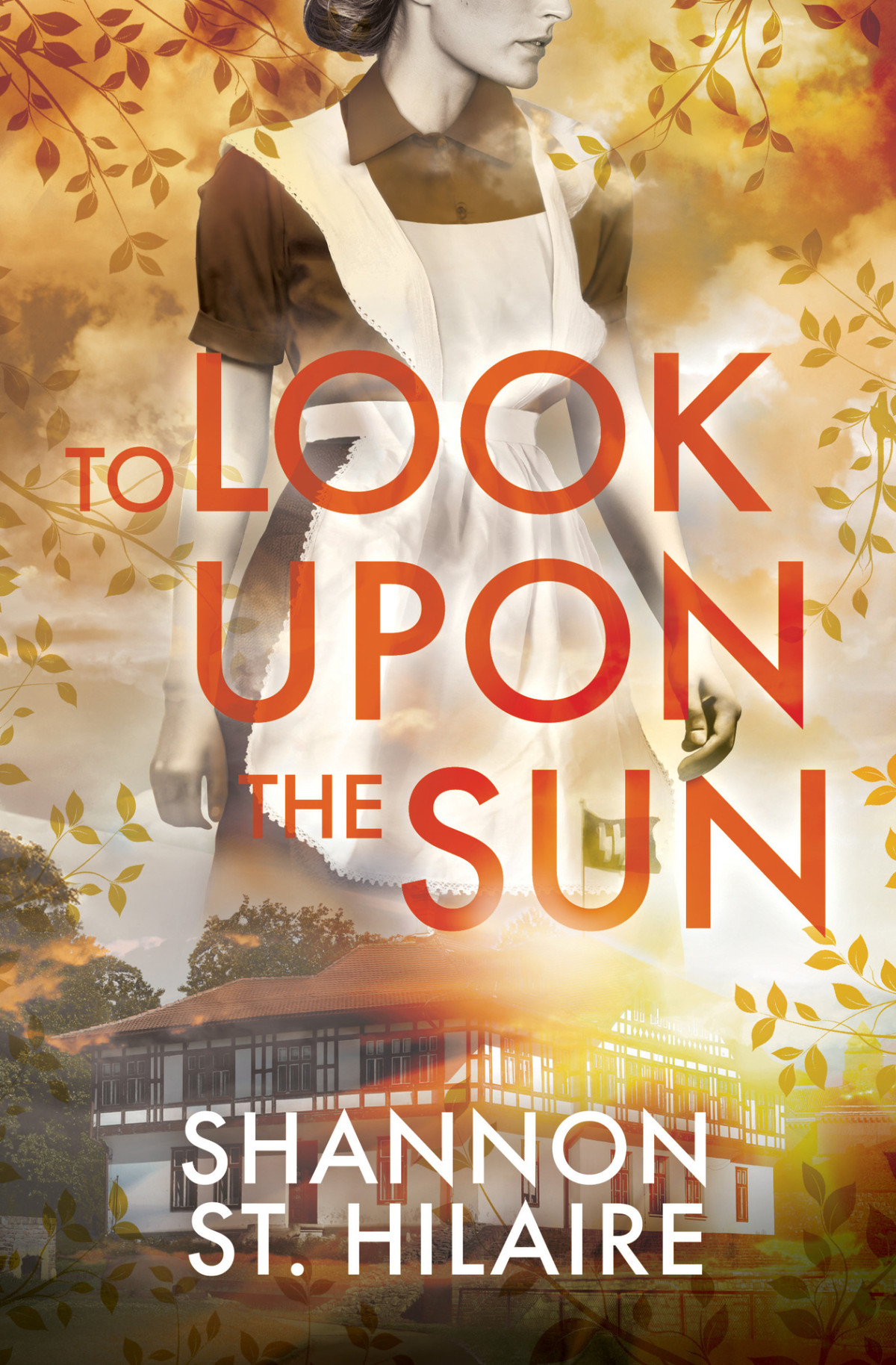 To Look Upon The Sun Shannon St Hilaire
