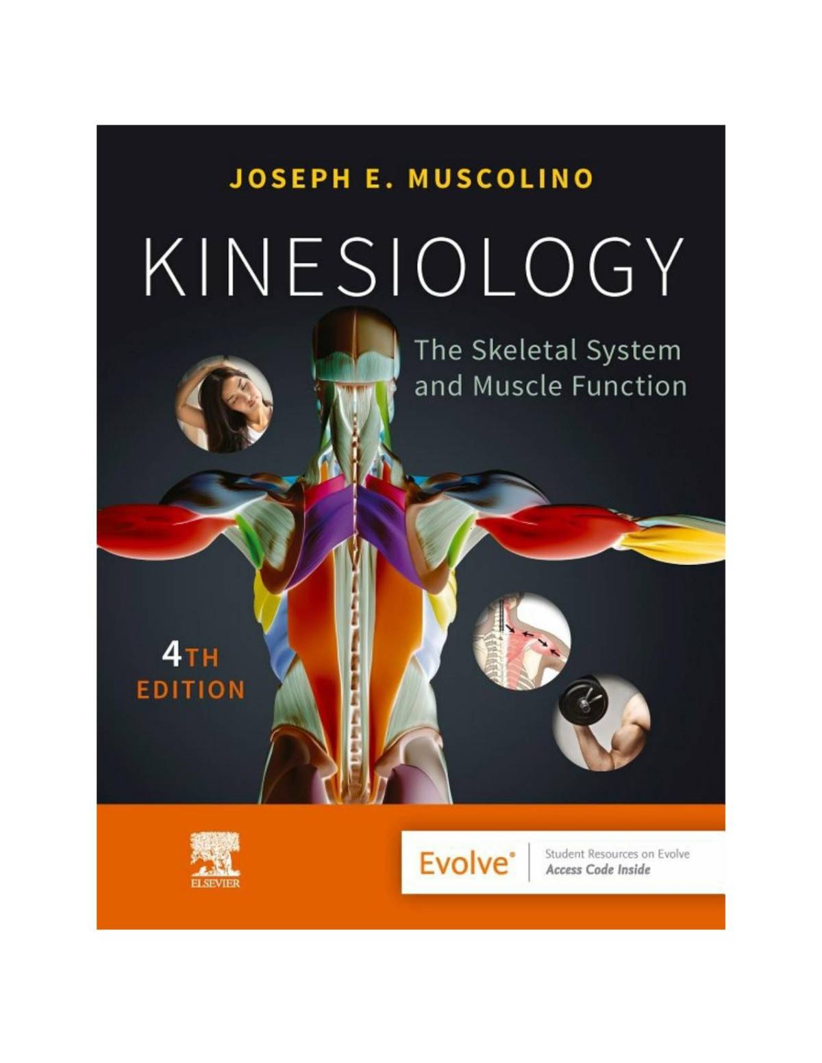 Kinesiology Joseph E Muscolino