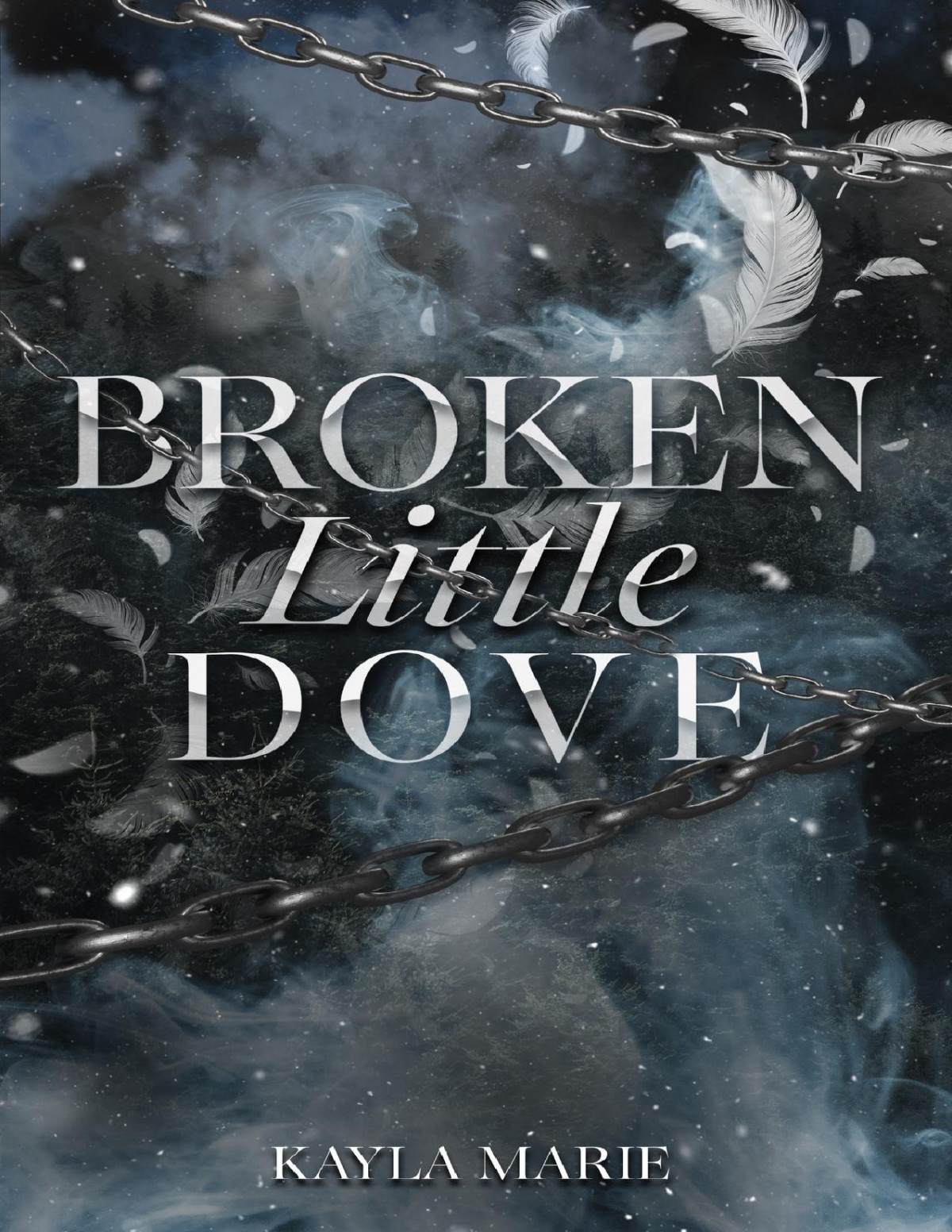 Broken Little Dove Kayla Marie