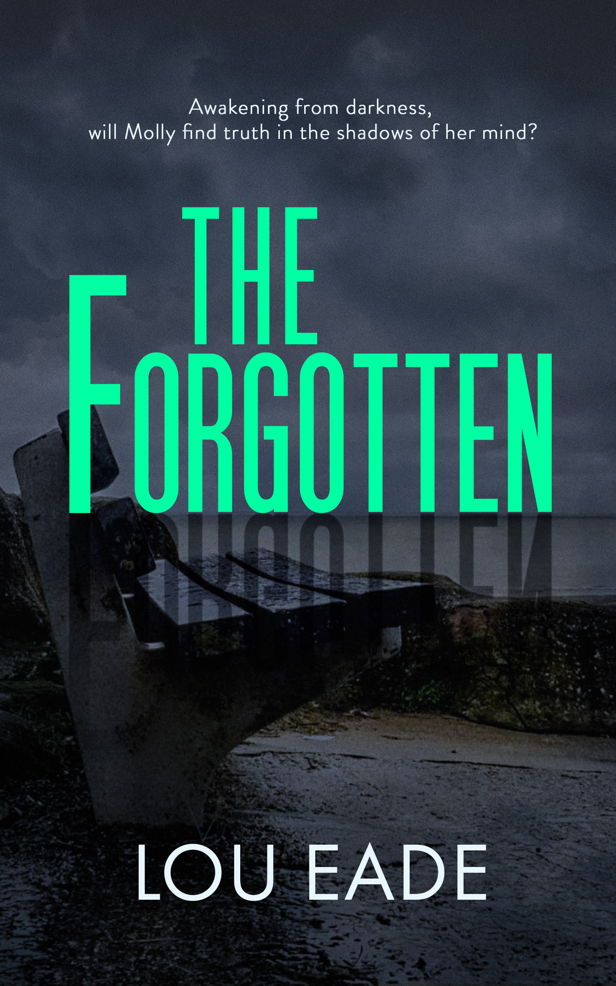 The Forgotten The Molly Chapman Series Lou Eade