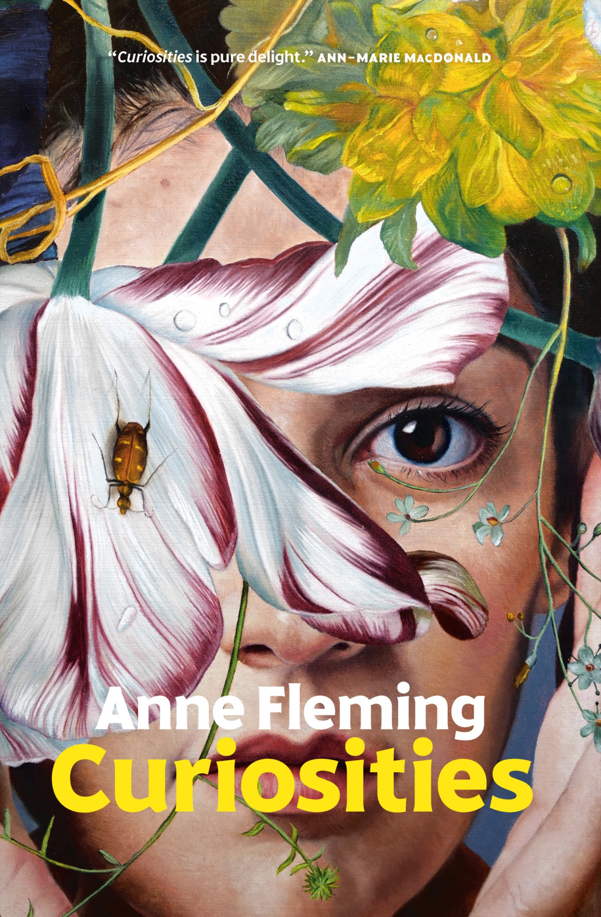 Curiosities A Novel Anne Fleming