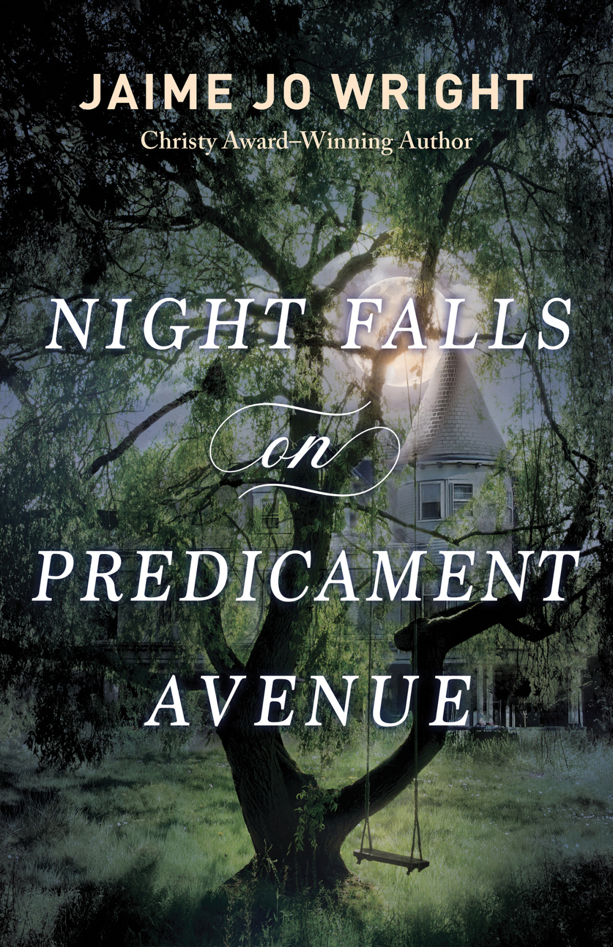 Night Falls On Predicament Avenue 1st Edition Jaime Jo Wright