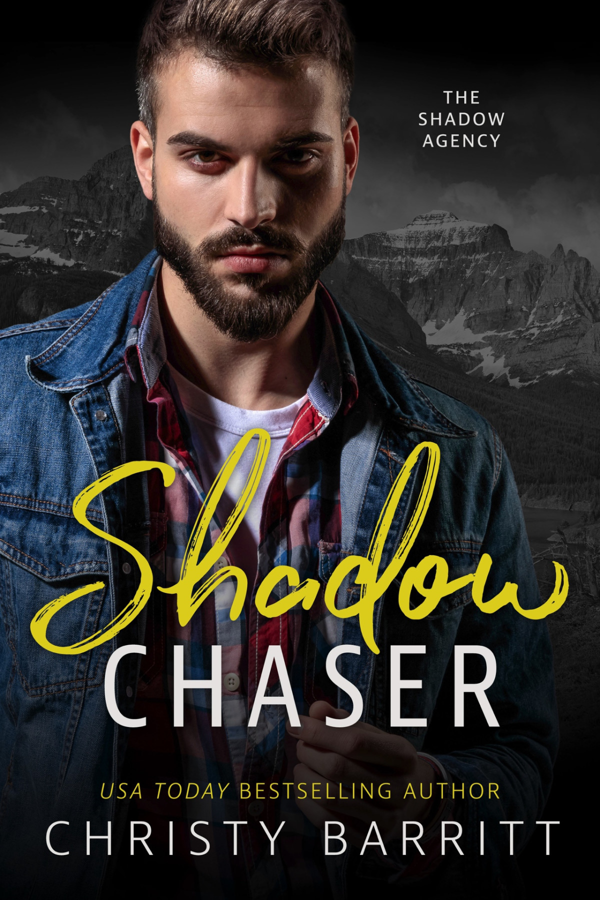 Shadow Chaser Christy Barritt