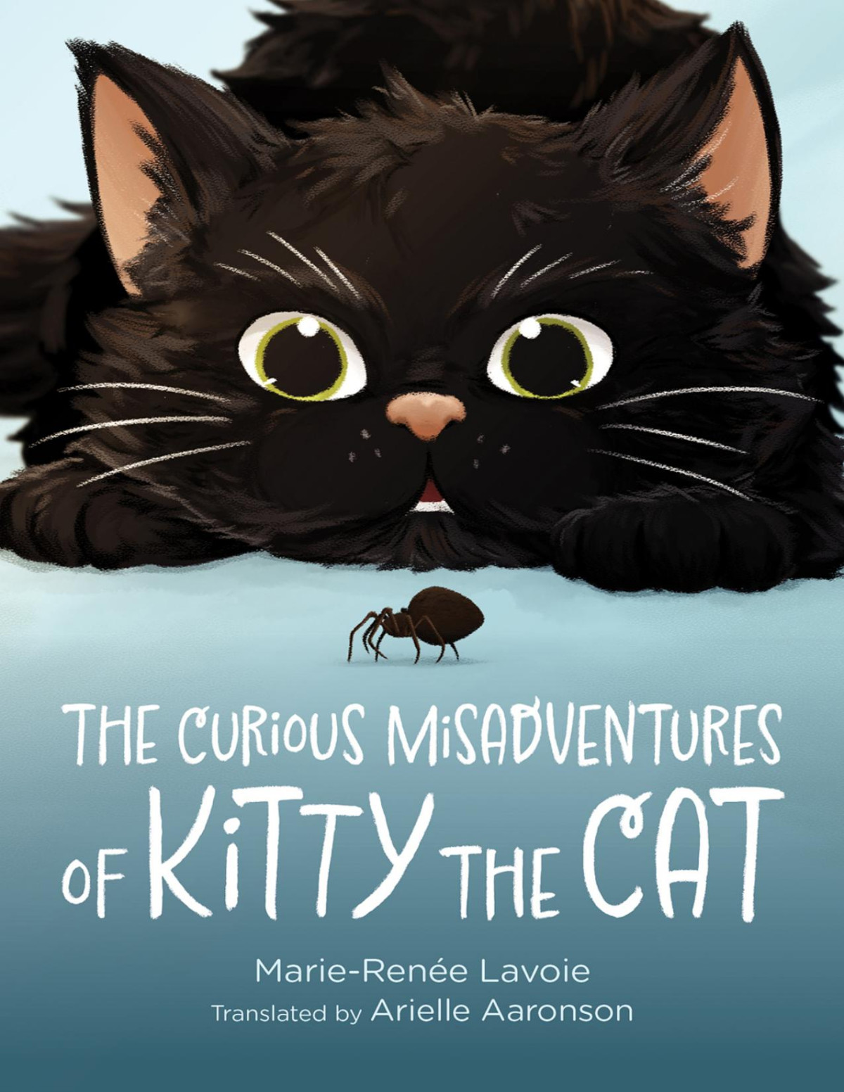The Curious Misadventures Of Kitty The Cat Marierene Lavoie