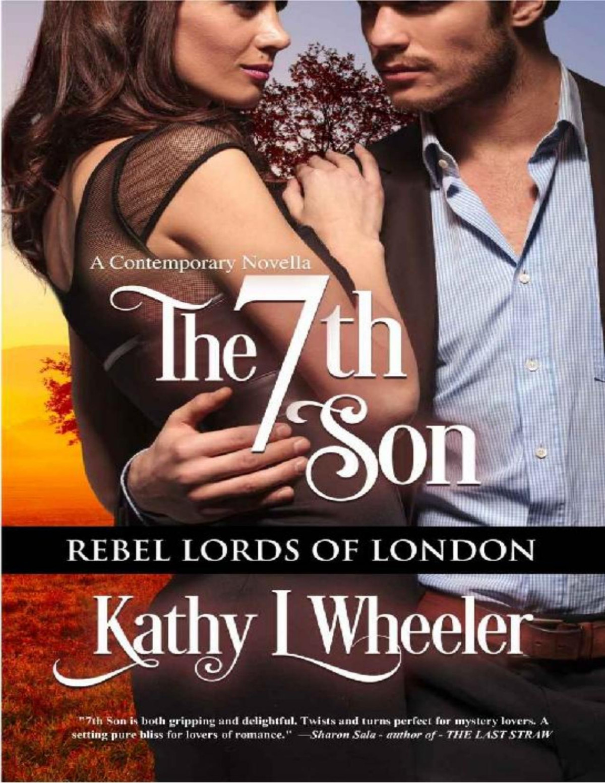 The 7th Son Kathy L Wheeler