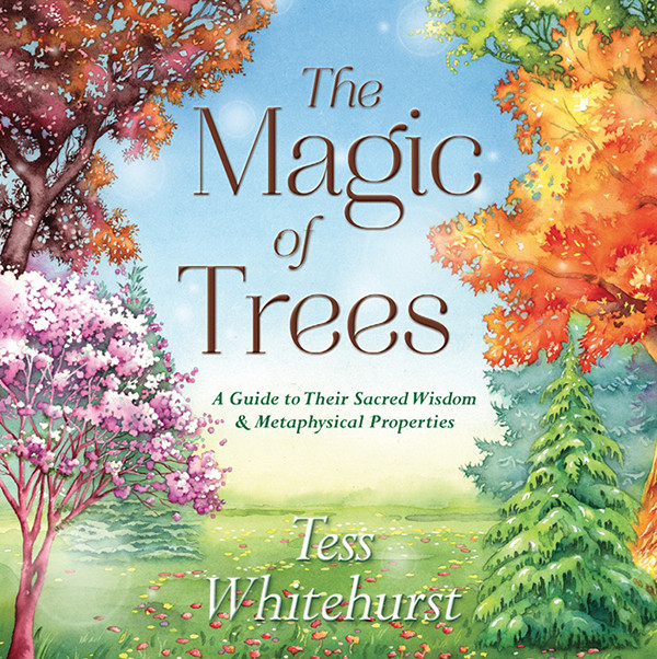 The Magic Of Trees Tess Whitehurst