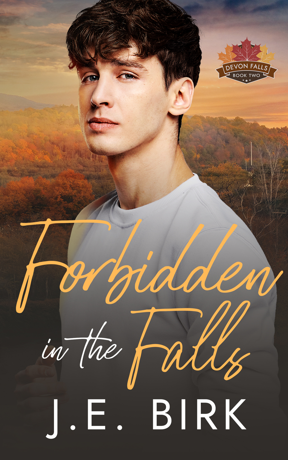 Forbidden In The Falls J E Birk