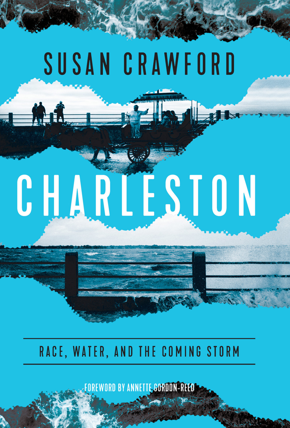 Charleston Race Water And The Coming Storm Race Water And The Coming Storm Susan Crawford
