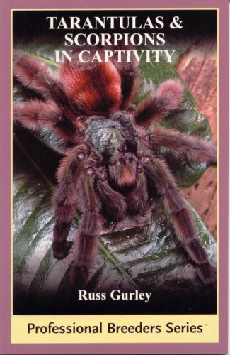 Tarantulas And Scorpions In Captivity Russ Gurley