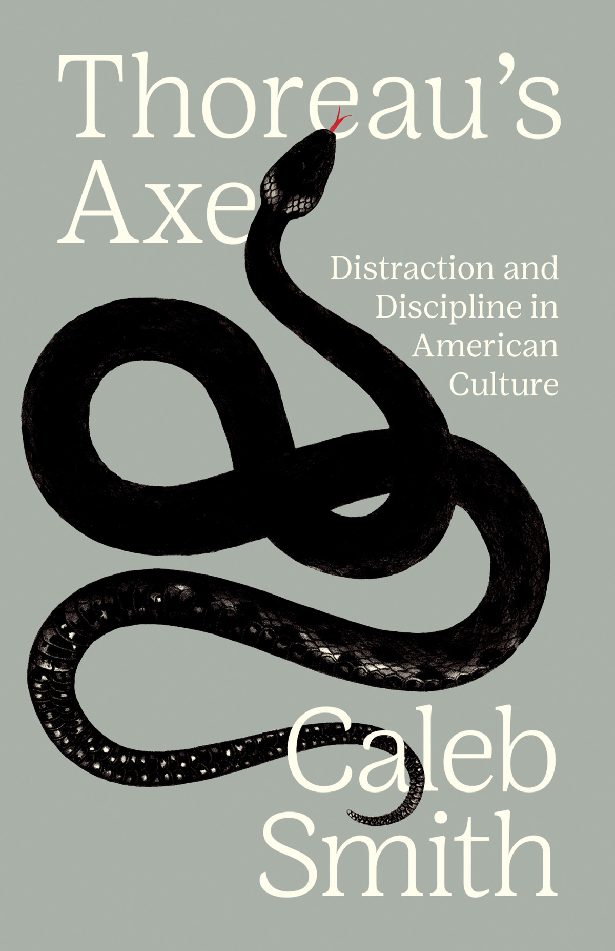 Thoreaus Axe Caleb Smith