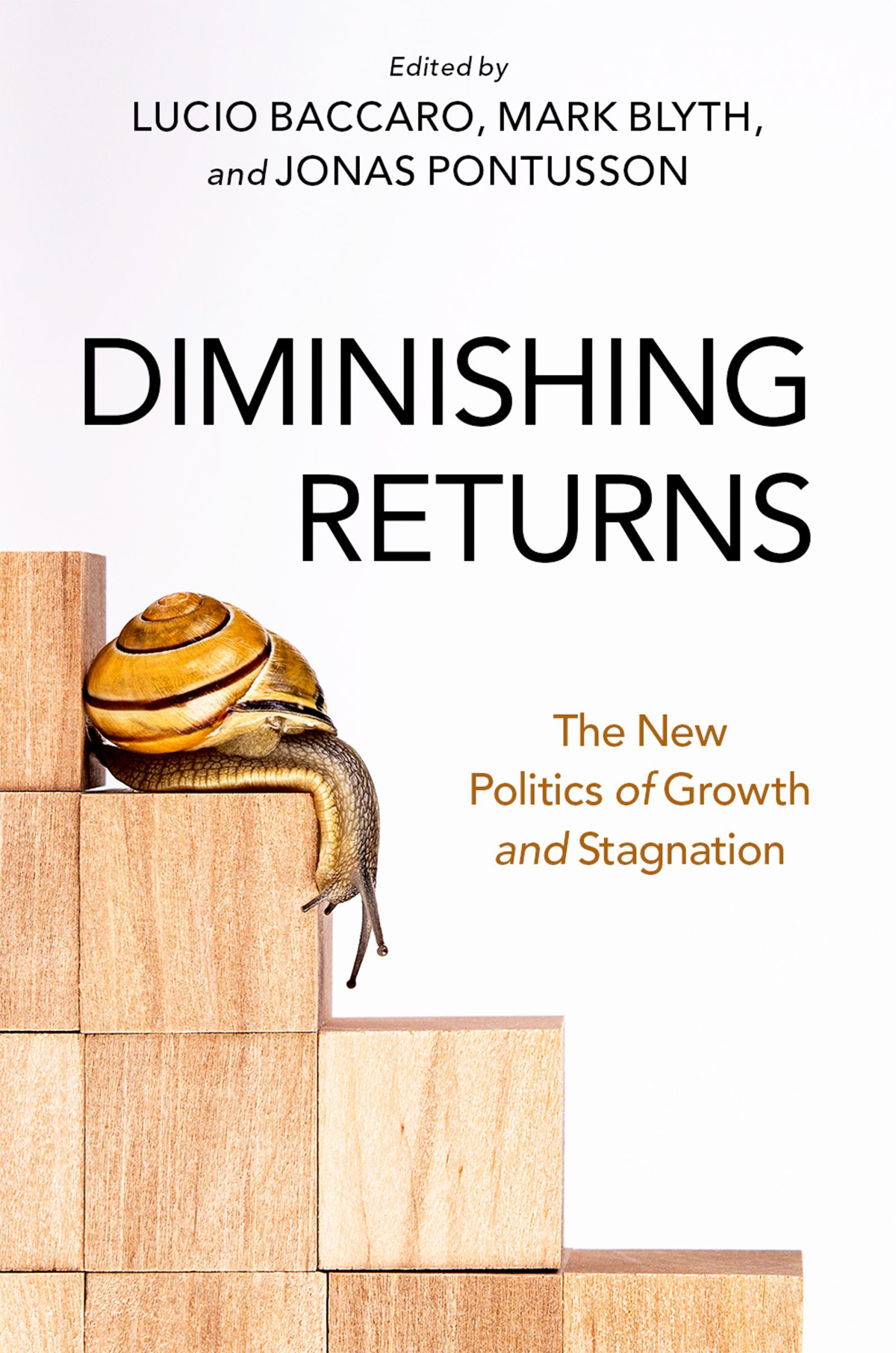 Diminishing Returns Mark Blyth