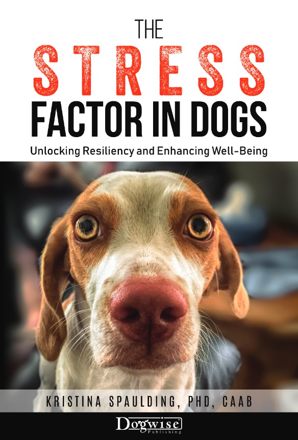 The Stress Factor In Dogs Kristina Spaulding