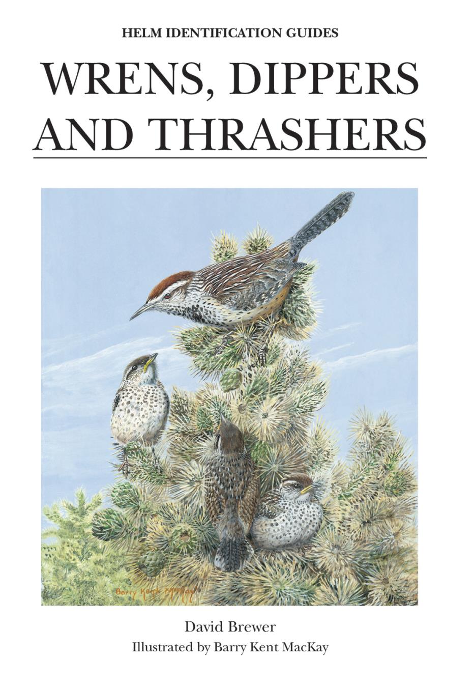 Wrens Dippers And Thrashers David Brewer