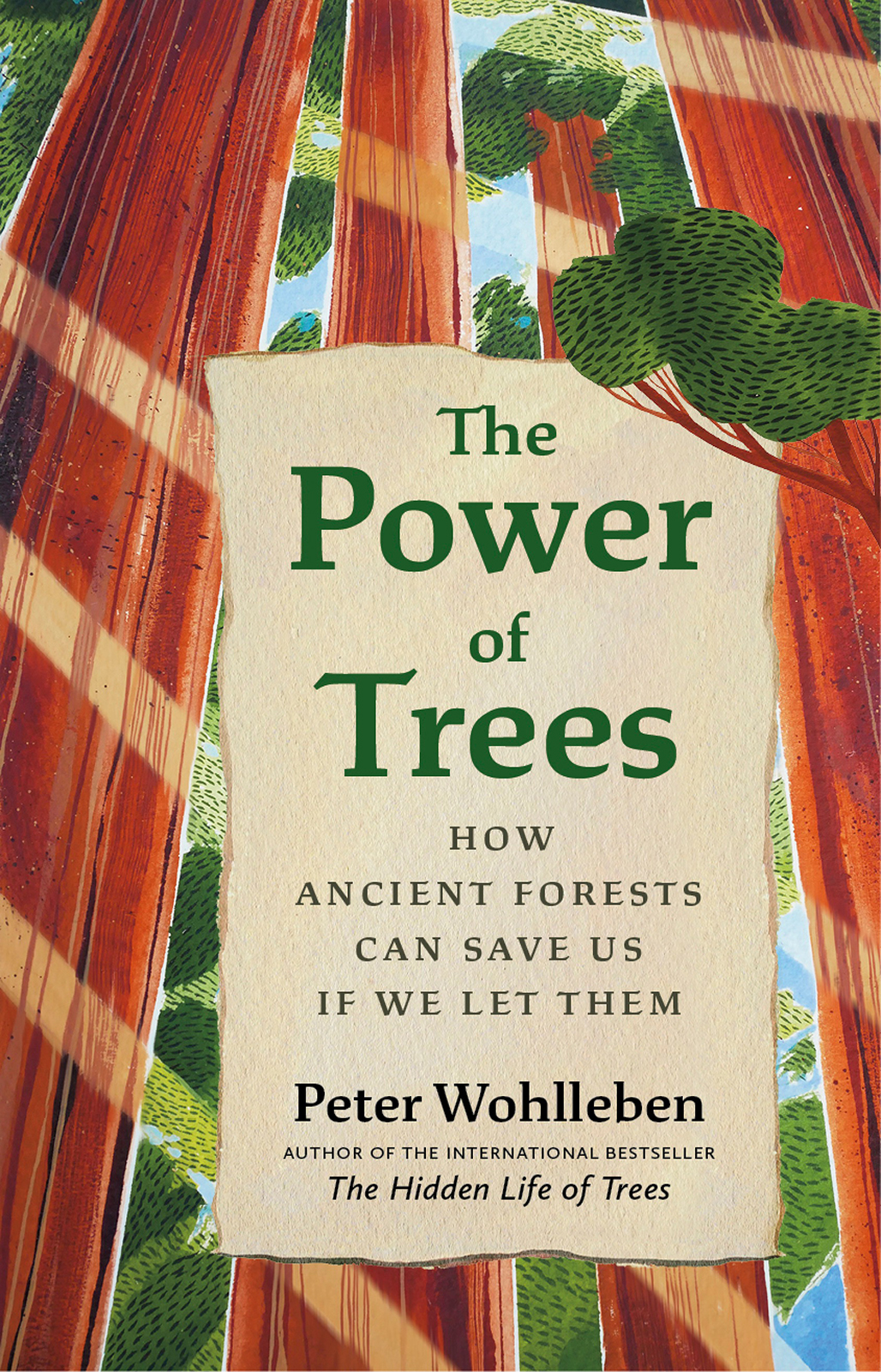 The Power Of Trees Peter Wohlleben