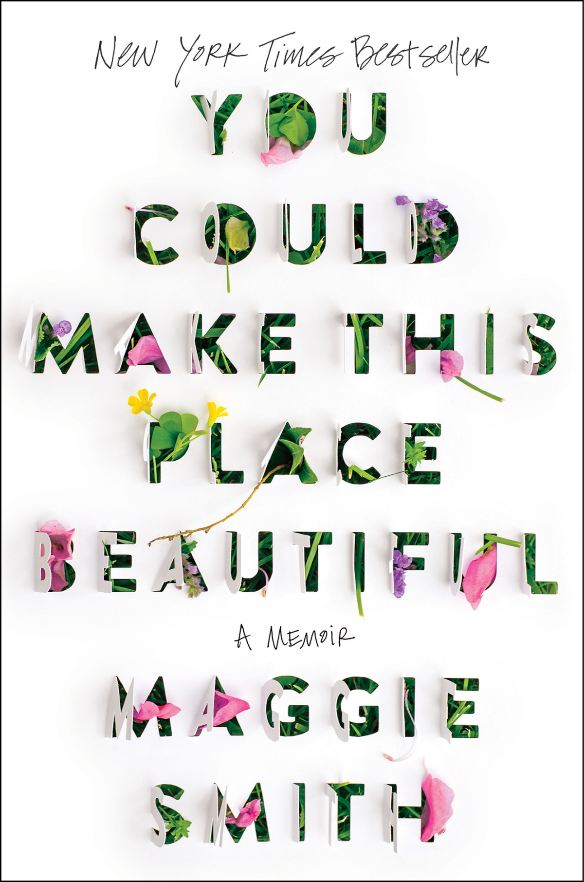 You Could Make This Place Beautiful A Memoir A Memoir Maggie Smith