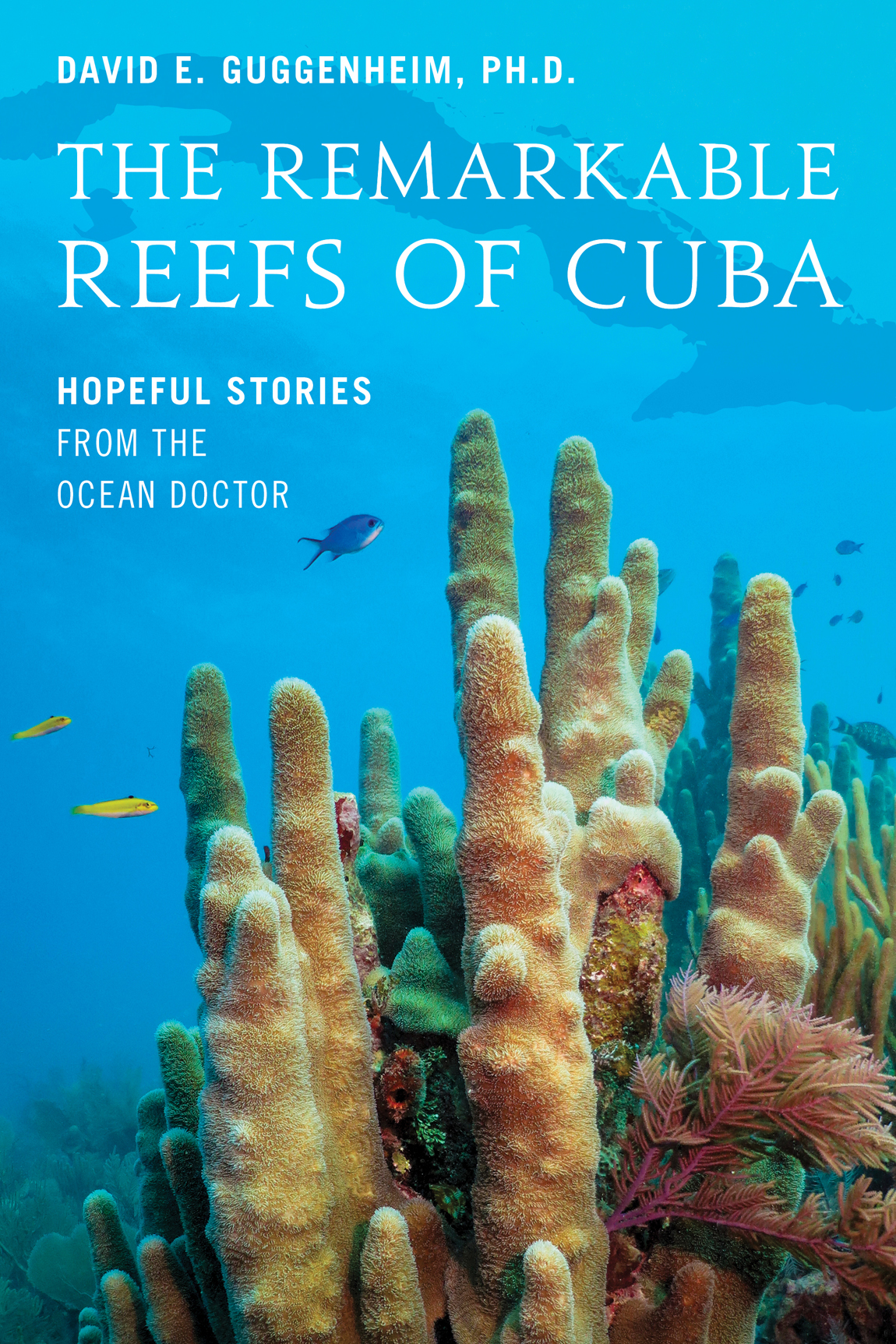 The Remarkable Reefs Of Cuba David E Guggenheim