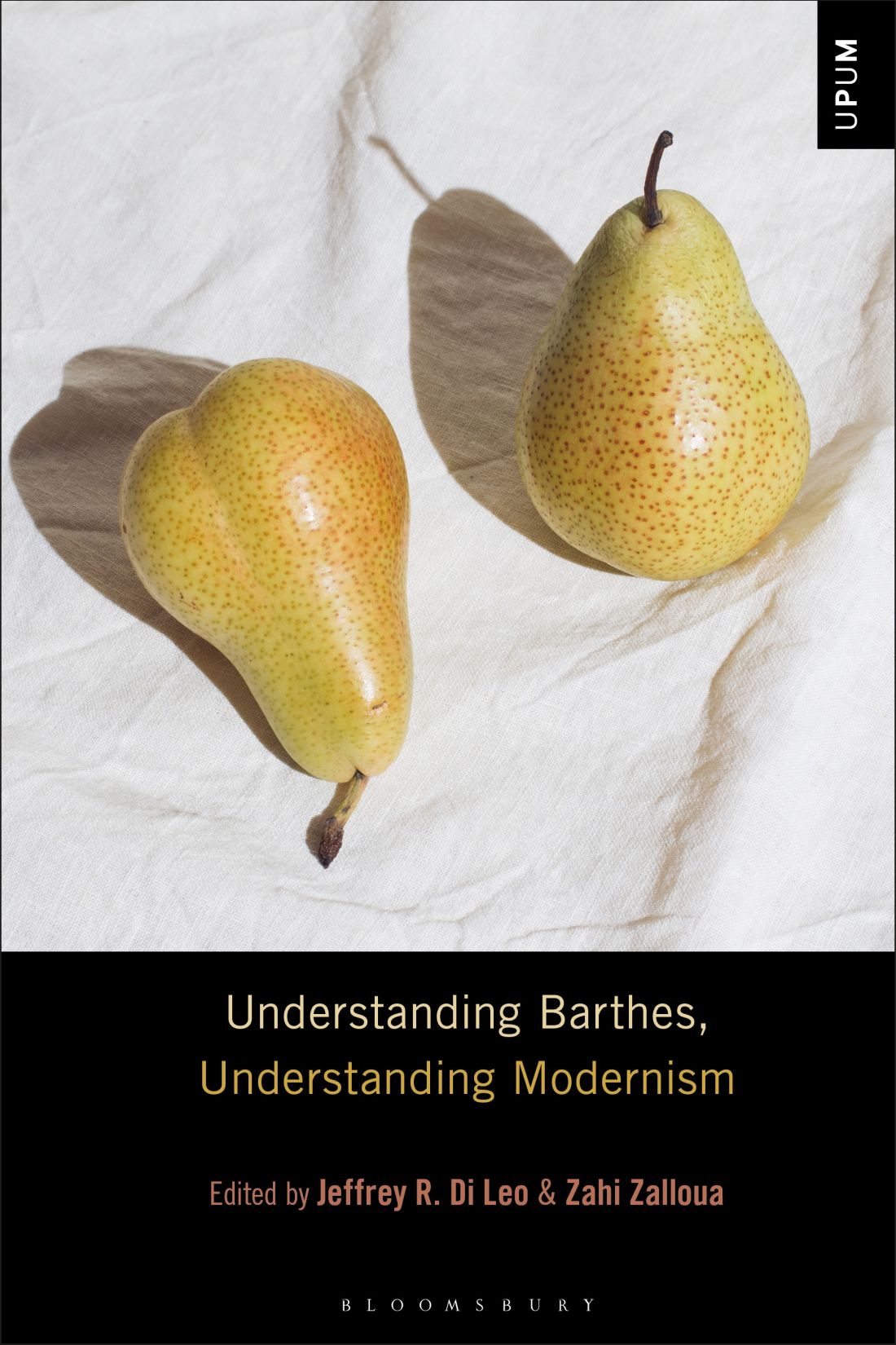 Understanding Barthes Understanding Modernism Jeffrey R Di Leozahi Zalloua