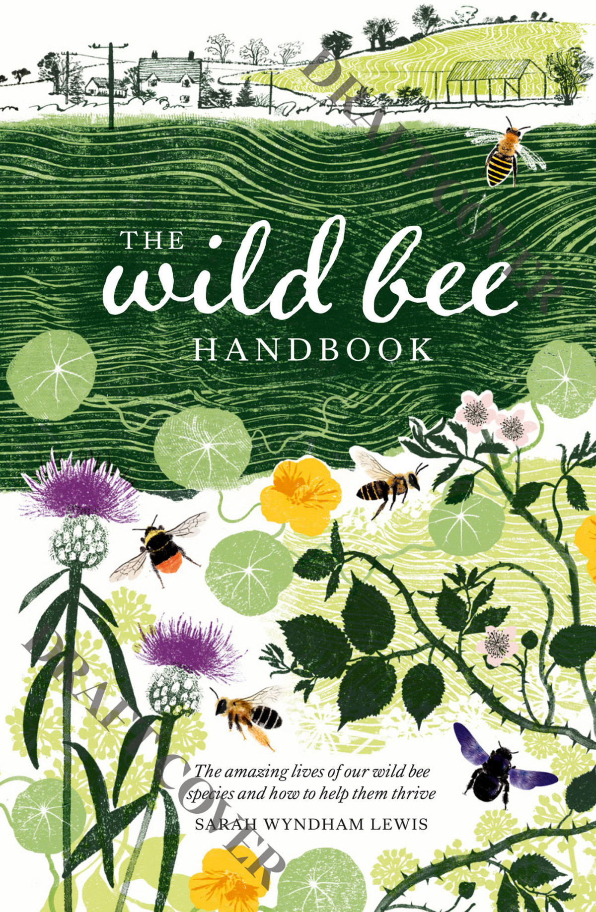 The Wild Bee Handbook The Amazing Lives Of Our Wild Species And How To Help Them Thrive Sarah Wyndham Lewis