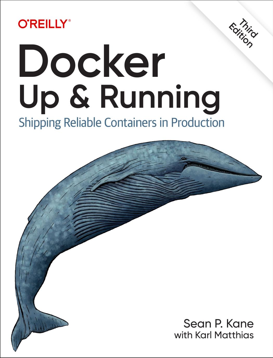 Docker Up Running Shipping Reliable Containers In Production 3rd Edition 3rd Edition Sean Kane