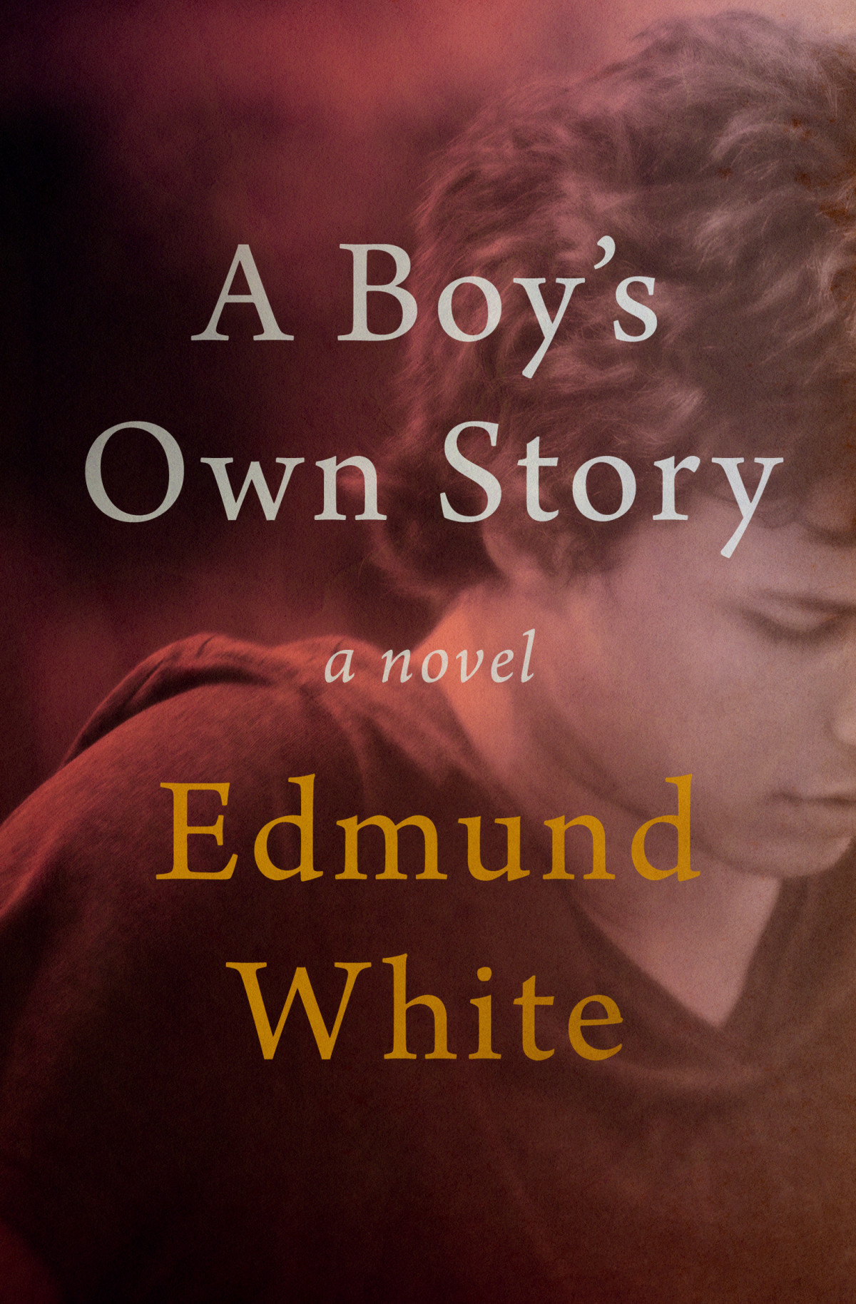 A Boys Own Story Edmund White