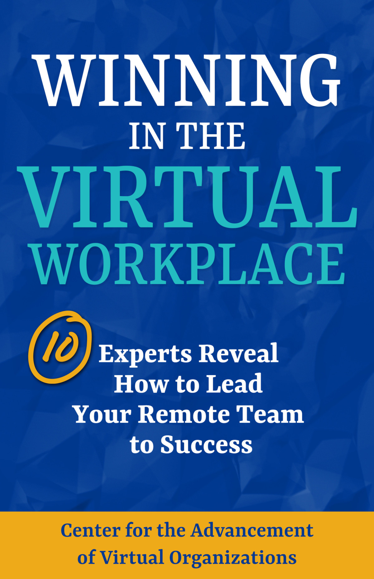 Winning In The Virtual Workplace 10 Experts Reveal How To Lead Your Remote Team To Success Advancement Of Virtual Organizations