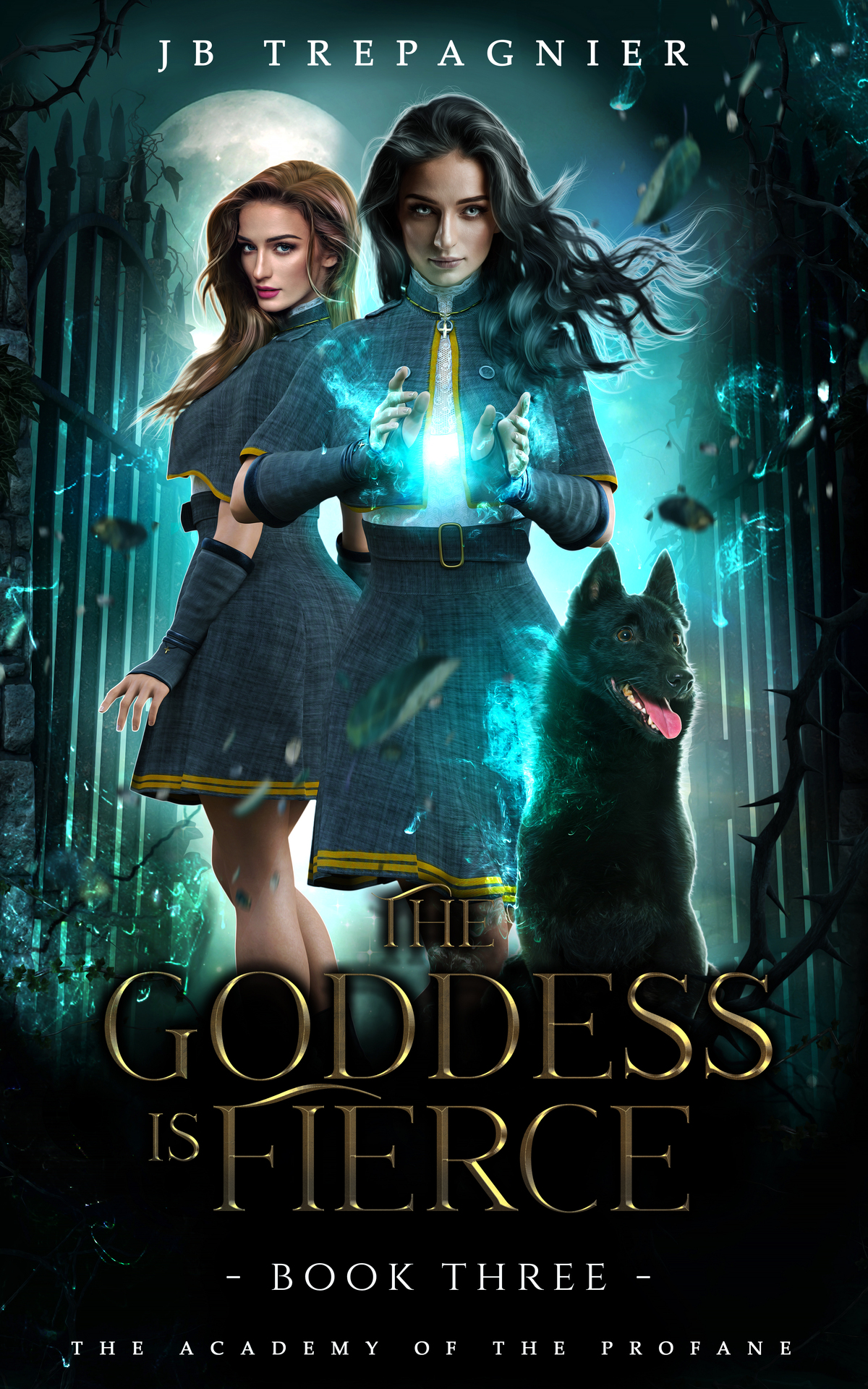 The Goddess Is Fierce A Paranormal Academy Why Choose Romance J B Trepagnier