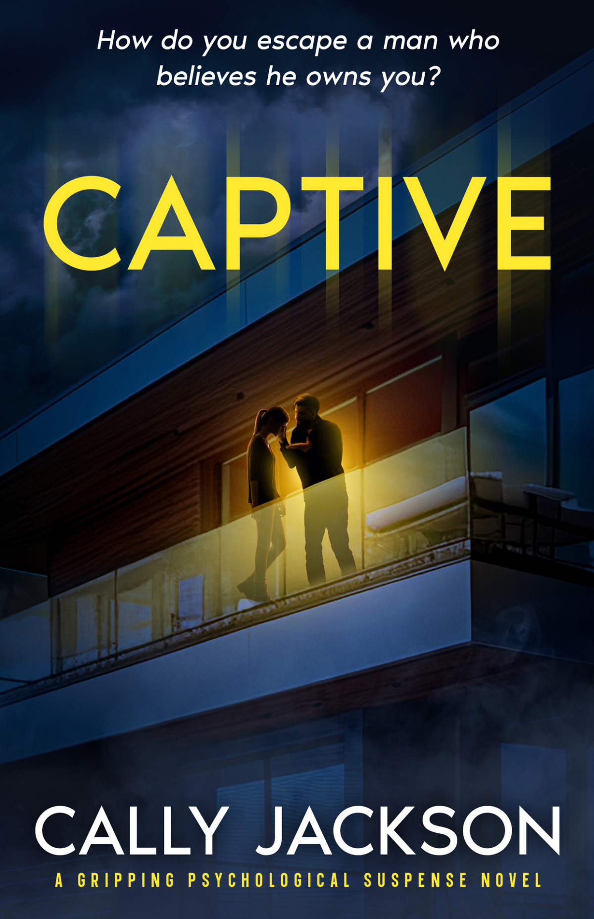Captive A Psychological Suspense Novel Cally Jackson