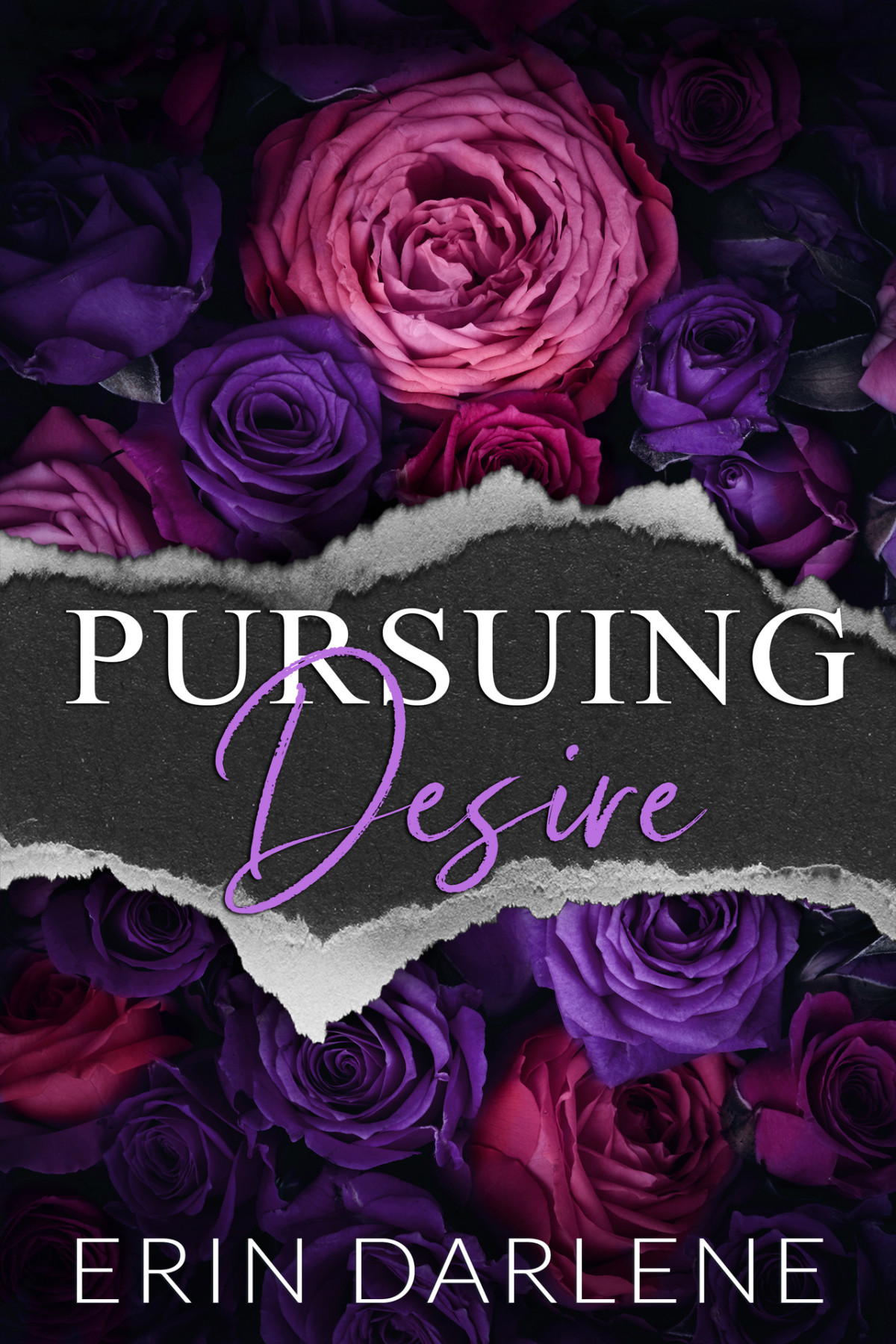 Pursuing Desire An Enemies To Lovers Road Trip Erin Darlene