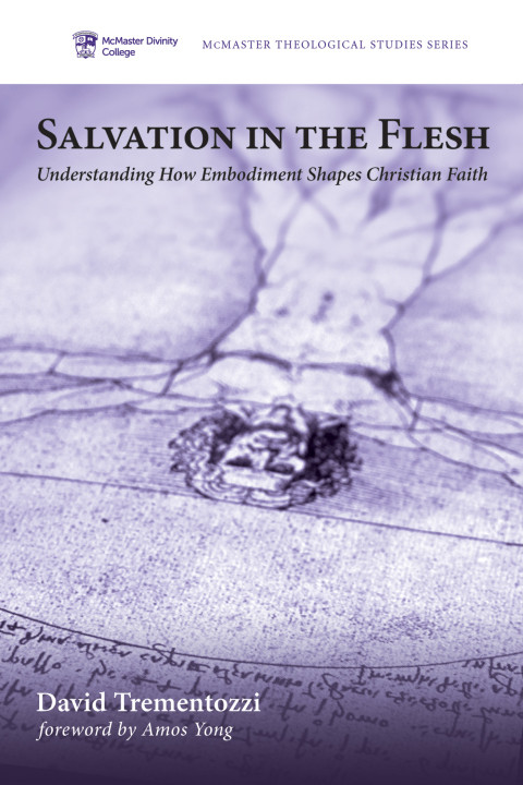Salvation In The Flesh Understanding How Embodiment Shapes Christian Faith 1st Edition David Trementozzi