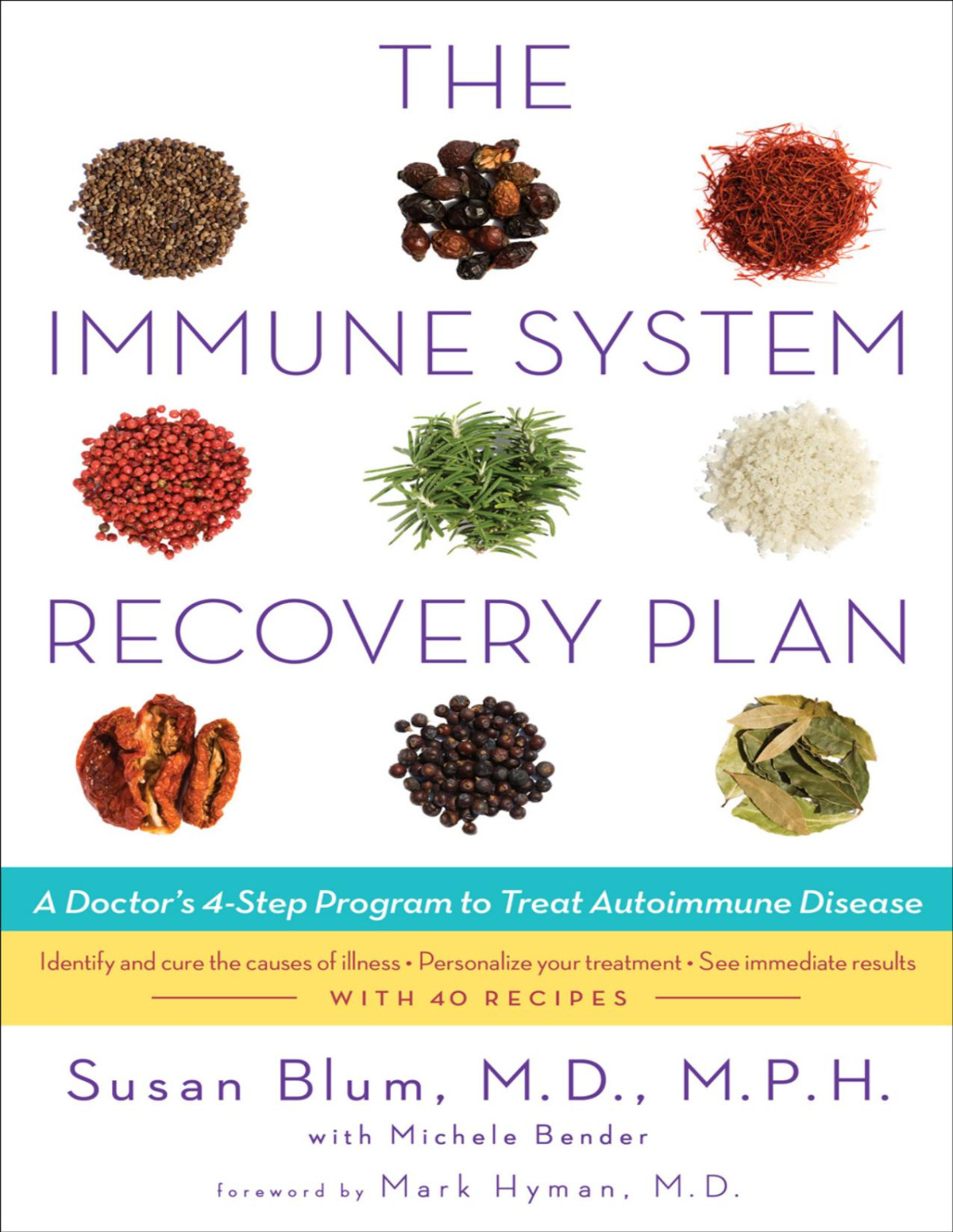 The Immune System Recovery Plan A Doctors 4step Program To Treat Autoimmune Disease Susan Blum