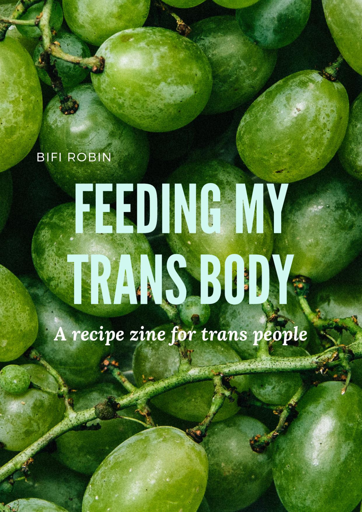 Feeding My Trans Body A Recipe Zine For Trans People Bifi Robin