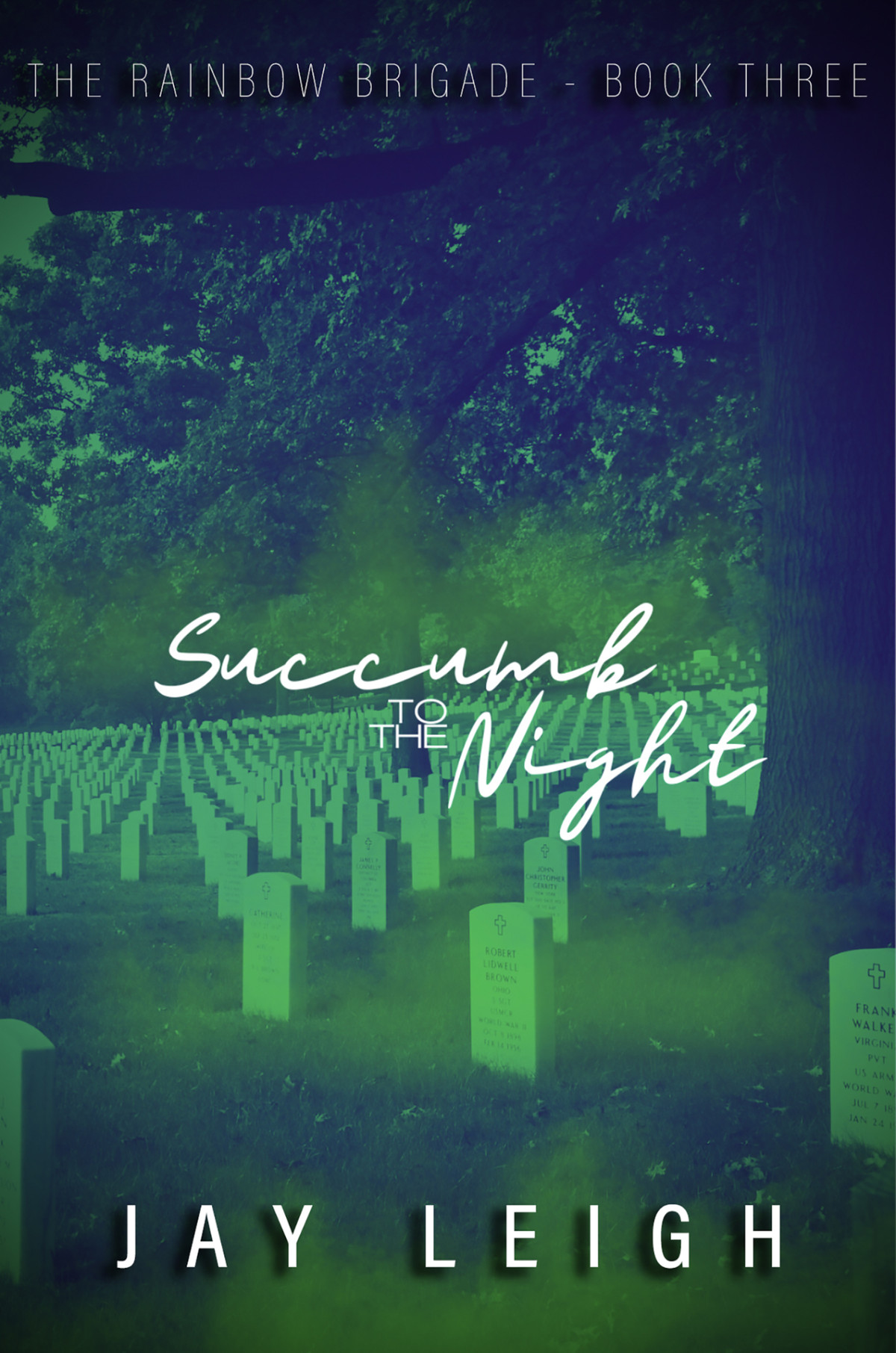 Succumb To The Night Jay Leigh