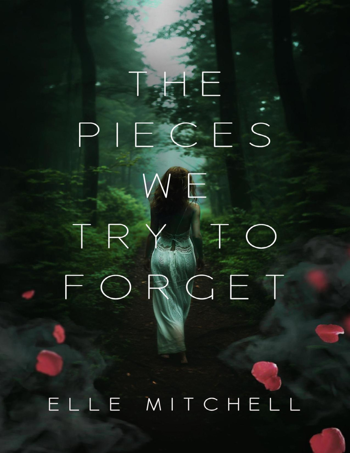 The Pieces We Try To Forget Lost Hollow Book 2 Elle Mitchell