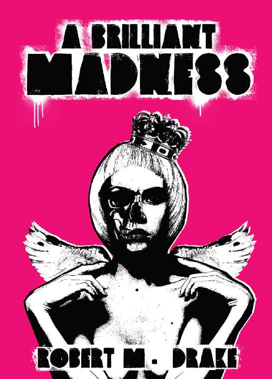 A Brilliant Madness Robert M Drake