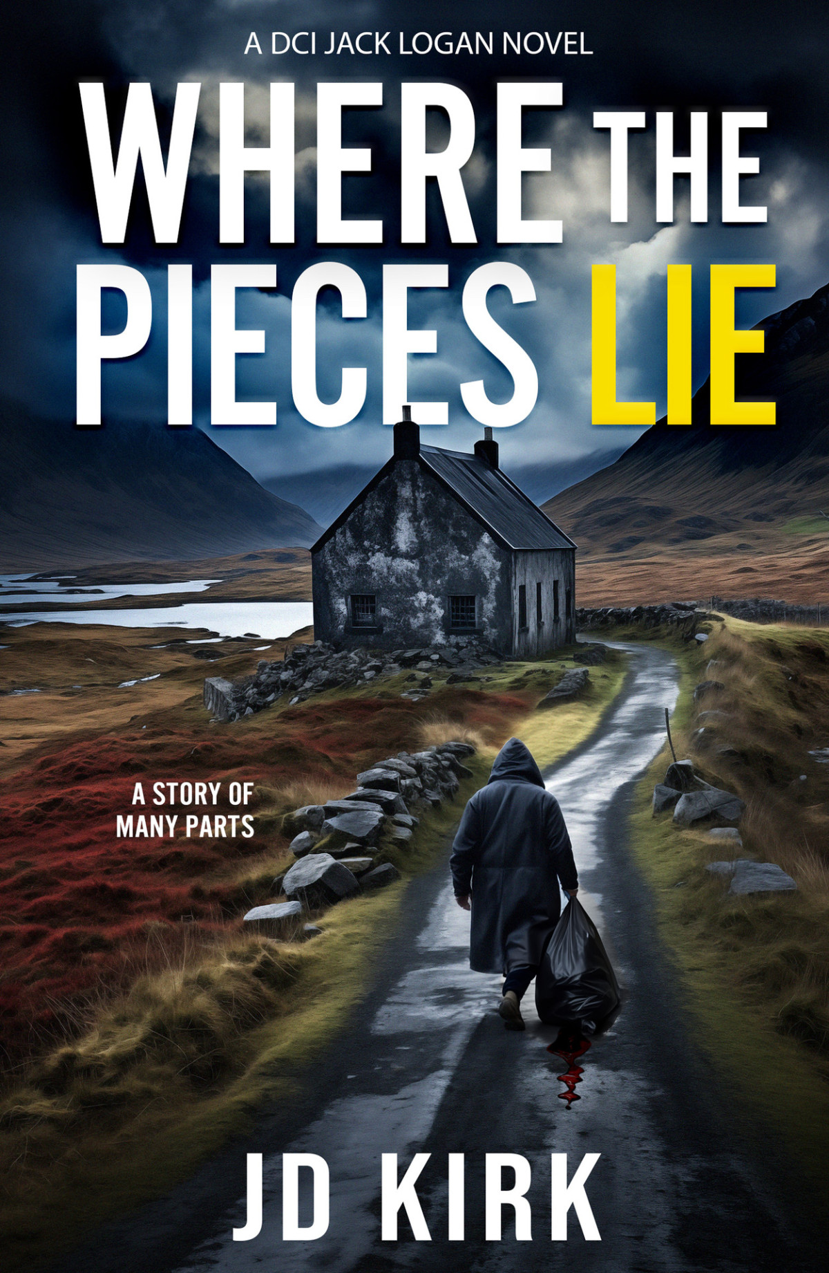 Where The Pieces Lie 1st Edition Jd Kirk