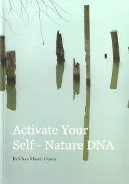 Activate Your Selfnature Dna Chan Master Guoru