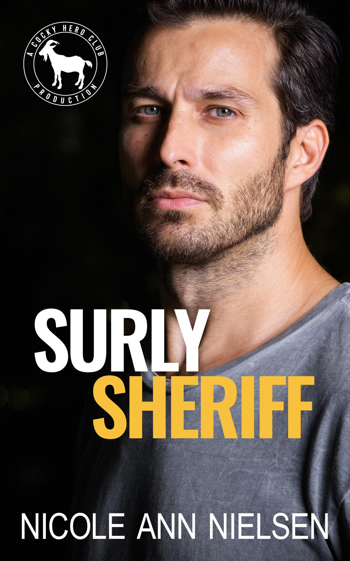 Surly Sheriff A Hero Club Novel Nicole Ann Nielsen Hero Club