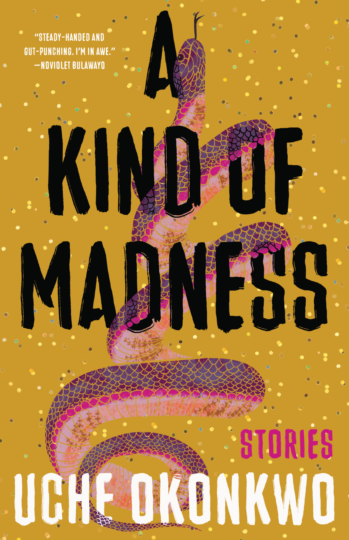 A Kind Of Madness Uche Okonkwo