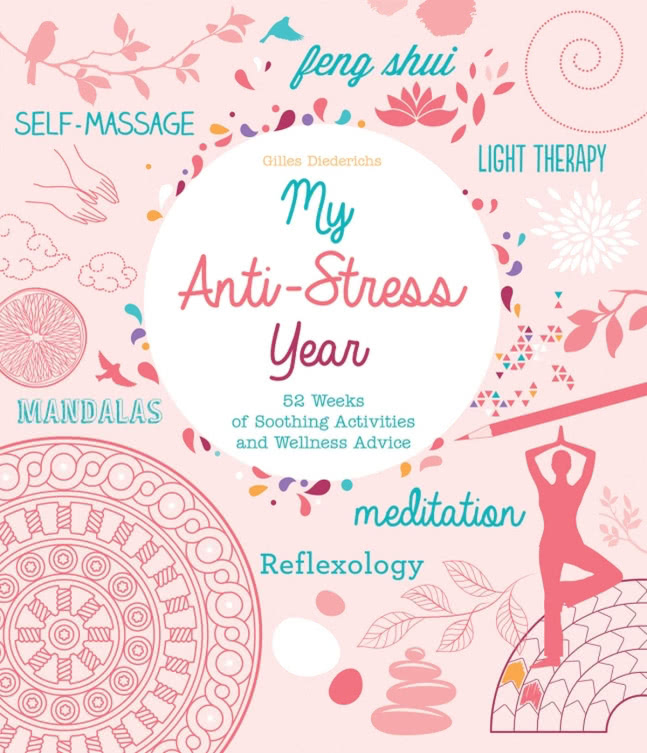 My Antistress Year Gilles Diederichs