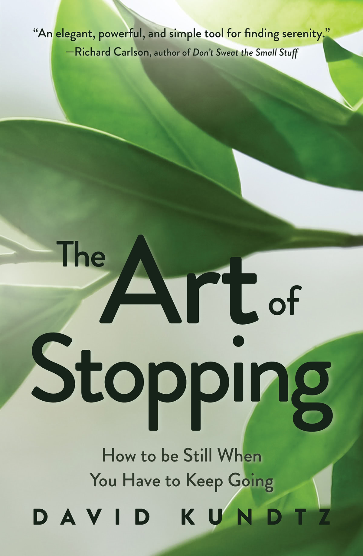 The Art Of Stopping David Kundtz