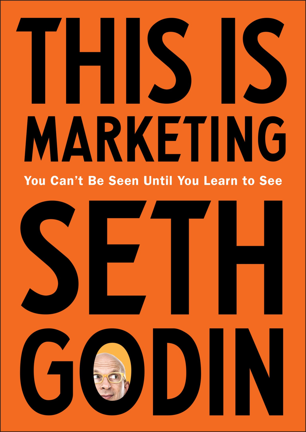 This Is Marketing You Cant Be Seen Until You Learn To See Seth Godin