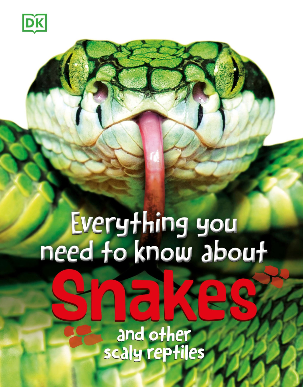 Everything You Need To Know About Snakes And Other Scaly Reptiles Woodward